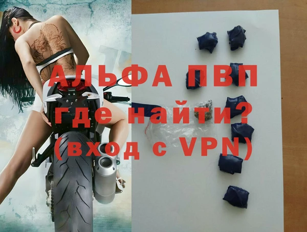 стаф Арсеньев