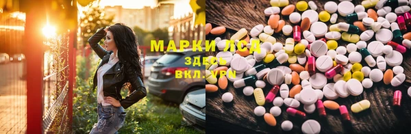 стаф Арсеньев