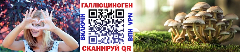 Псилоцибиновые грибы MAGIC MUSHROOMS  Купить  Игарка 